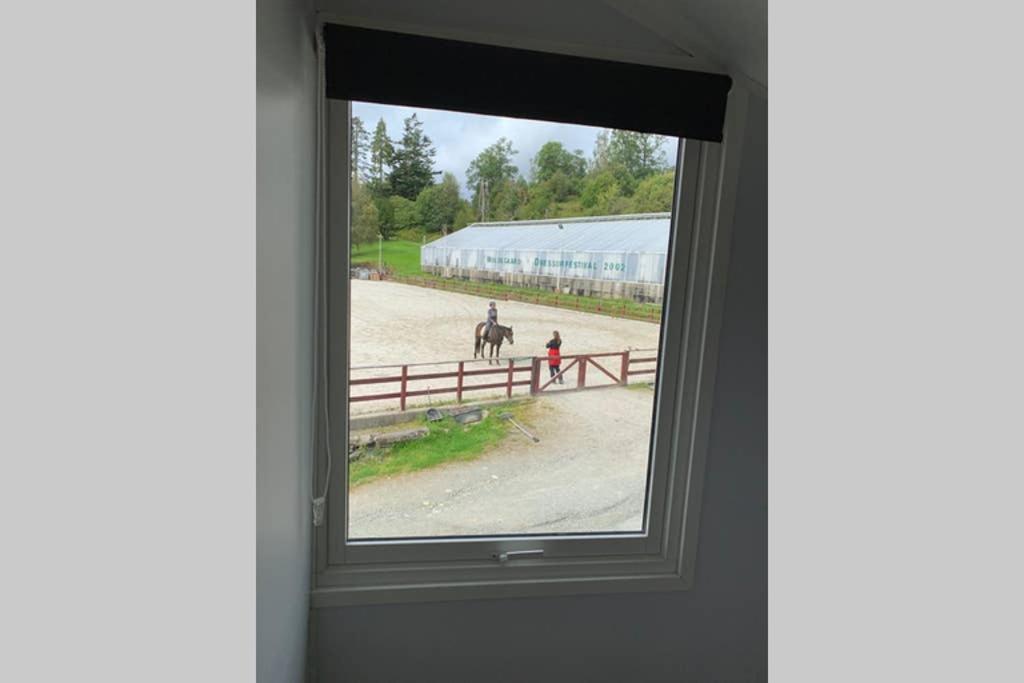 Moldegaard Riding Lodge Moldegard المظهر الخارجي الصورة